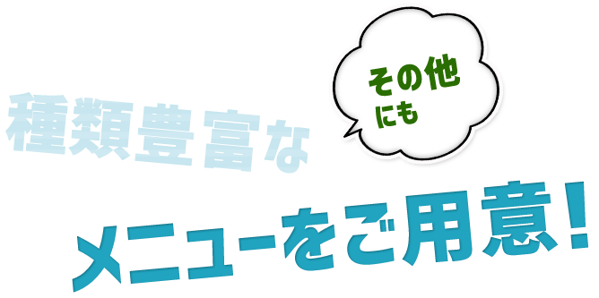 その他にも